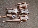 Barbie vintage torso onderdelen, Verzamelen, Poppen, Ophalen of Verzenden, Gebruikt, Pop