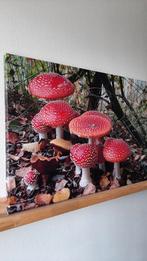 Schilderij - foto op canvas, Ophalen