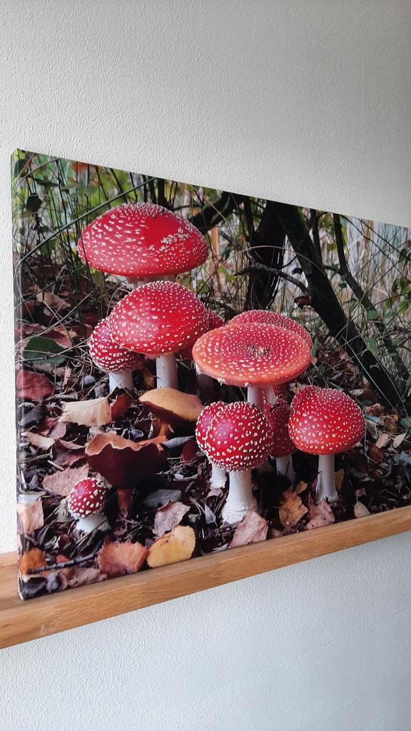Schilderij - foto op canvas, Huis en Inrichting, Woonaccessoires | Schilderijen, Tekeningen en Foto's, Ophalen