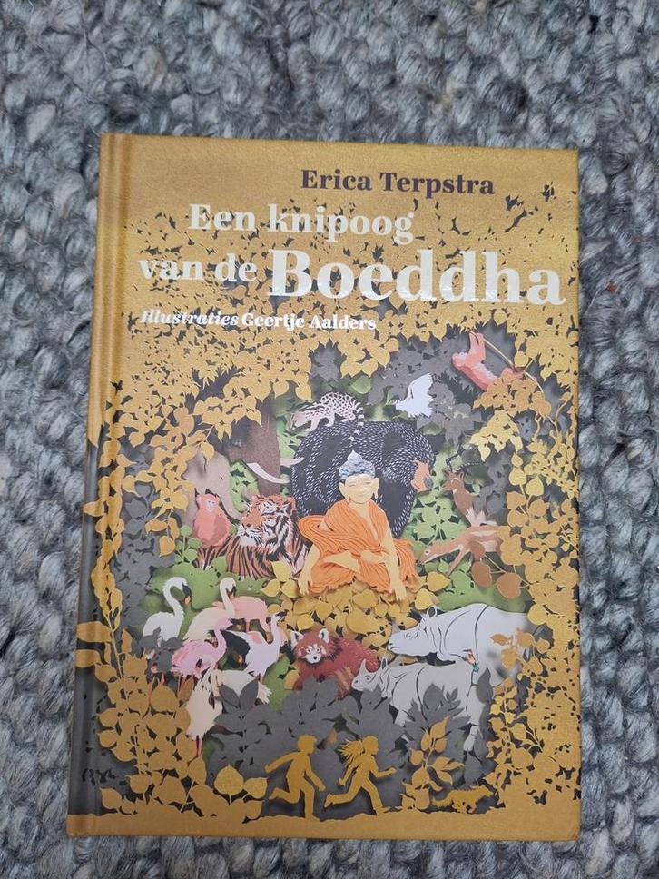 Een knipoog van de Boeddha - Erica Terpstra, Boeken, Kinderboeken | Jeugd | onder 10 jaar, Zo goed als nieuw, Sprookjes, Ophalen of Verzenden