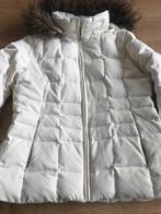 CK jas, Kleding | Dames, Jassen | Zomer, Ophalen of Verzenden, Zo goed als nieuw