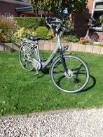 Sparta ion opknapper, Fietsen en Brommers, Fietsaccessoires | Aanhangers en Karren, Ophalen of Verzenden, Zo goed als nieuw, Aanhangfiets