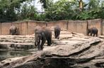 Diverse toegangskaartjes, Tickets en Kaartjes, Drie personen of meer, Ticket of Toegangskaart