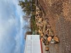 5,5 a 6m3 brandhout mix., Minder dan 3 m³, Ophalen of Verzenden
