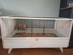 Grote caviakooi / caviahok Beeztees 1.20 met veel extra's, Ophalen, Kooi, 110 cm of meer, 60 tot 90 cm