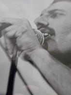 OUEEN FREDDY MERCURY LIVE AT WEMBLEY, Ophalen of Verzenden, Foto, Zo goed als nieuw