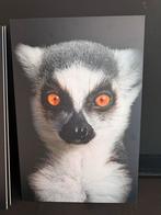 Dierenprints op Forex - Set voor kinderkamer 7 stuks, Ophalen of Verzenden