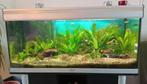 Aquarium aquatlantis, Ophalen, Gebruikt, Leeg aquarium