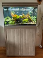 Aquatlantis aquarium 160 liter met bijbehorende kast, Ophalen, Gebruikt, Leeg aquarium