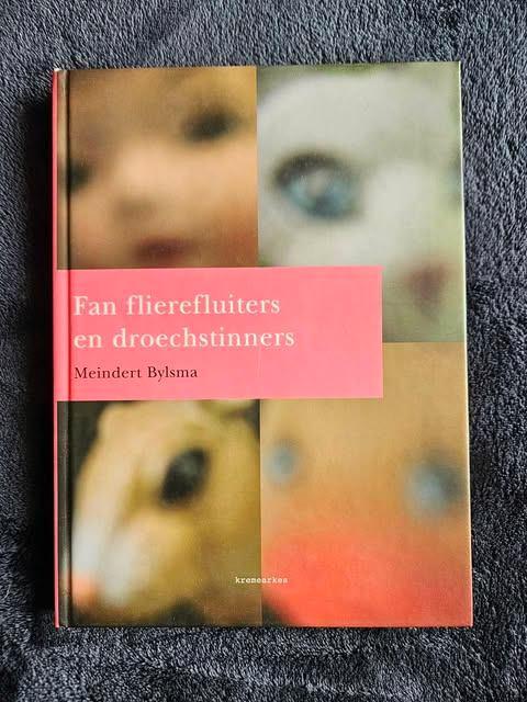 Meindert Bylsma - Fan flierefluiters en droechstinners, Boeken, Literatuur, Zo goed als nieuw, Nederland, Ophalen of Verzenden