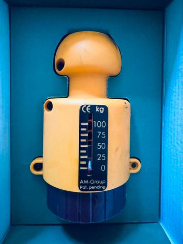 Disselweger / Kogeldrukmeter AM Controller beschikbaar voor biedingen