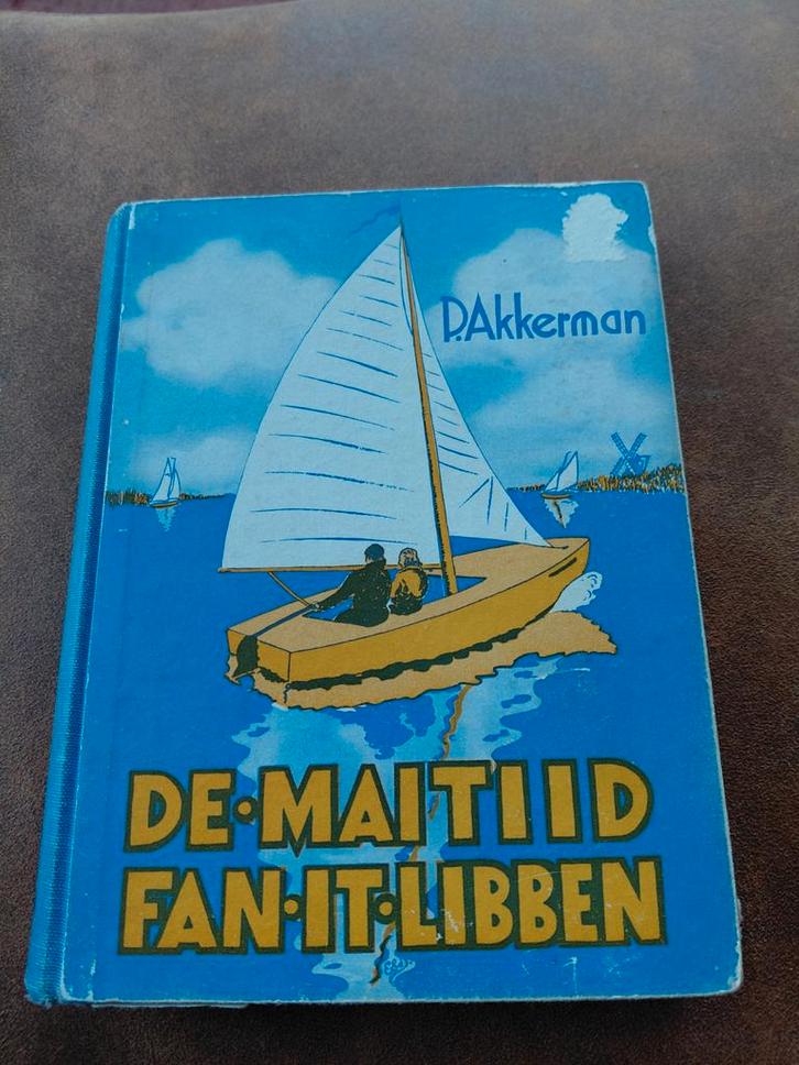 Friese roman uit de jaren '50 - D. Akkerman, Boeken, Streekboeken en Streekromans, Ophalen of Verzenden