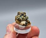 Chalcopyriet e.a. - Prince Lyell Mine, Tasmanië, Australië, Ophalen of Verzenden, Mineraal