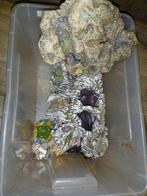 Aquarium decoratie, Dieren en Toebehoren, Ophalen, Sierelement