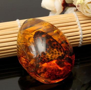 Vlinder In Amber Steen Kettinghanger / Dier Opgezet Insect beschikbaar voor biedingen