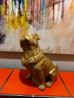 Gouden hond, Ophalen of Verzenden