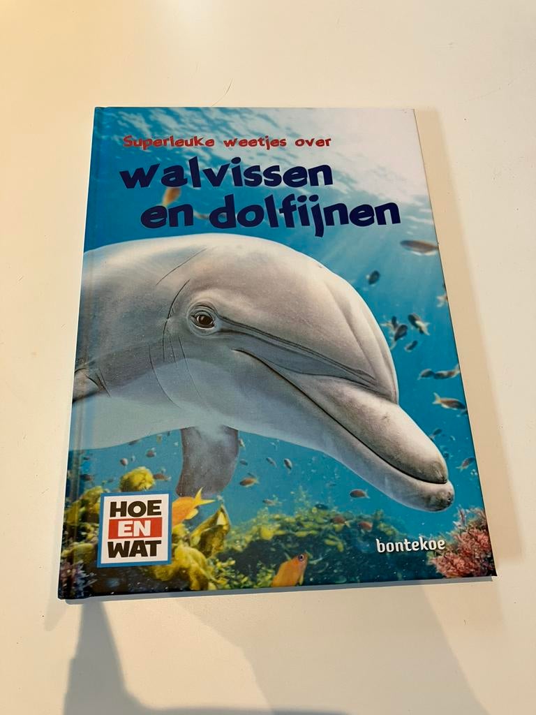 Dolfijnen spullen, Ophalen of Verzenden, Zo goed als nieuw, Speelkaart(en)