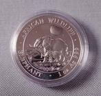 1 Oz Silver Olifant / Elephant 2011 munt - Somalië, Ophalen of Verzenden, Zilver