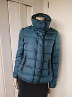 Burberry jas winter maat S/36, Kleding | Dames, Blauw, Ophalen of Verzenden, Burberry, Maat 36 (S)