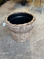 Rieten mand d50h52cm - binnen/buiten (NIEUW), Bloeit niet, Overige soorten, Minder dan 100 cm, Ophalen