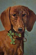 belgie 1907 portret hond teckel met klavertjes vier, Verzamelen, Verzenden, Voor 1920, Ongelopen, Overige thema's