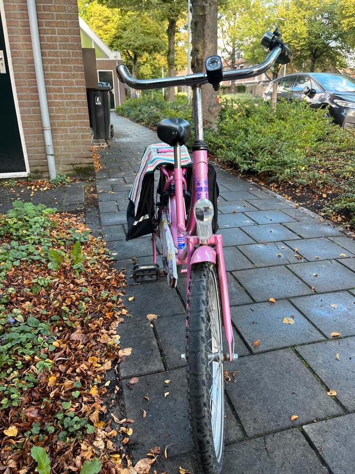 Meisjesfiets 5-8 jaar, Fietsen en Brommers, Fietsen | Meisjes, Gebruikt, 20 inch, Ophalen
