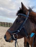 Zeer net Micklem hoofdstel - Rambo havanna (COB) zwart, Dieren en Toebehoren, Paarden en Pony's | Hoofdstellen en Tuigage, Ophalen of Verzenden