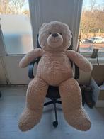 Teddybeer te koop – Op te halen in Centrum Den Haag, Ophalen, Zo goed als nieuw, Beer