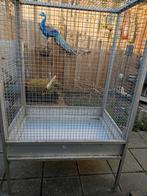Mooie vogelkooi 100x80x55cm pootjes niet mee gerekend, Dieren en Toebehoren, Vogels | Hokken en Kooien, Ophalen, Zo goed als nieuw