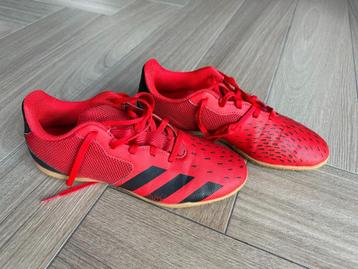 Adidas Predator Freak 4, Zaalvoetbalschoenen, maat 40 2/3Adi beschikbaar voor biedingen