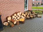 Kachelhout te koop, Tuin en Terras, Haardhout, Ophalen, Overige houtsoorten, Blokken