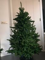Kerstboom Triumph tree 1.55 Intratuin, Diversen, Ophalen of Verzenden, Zo goed als nieuw