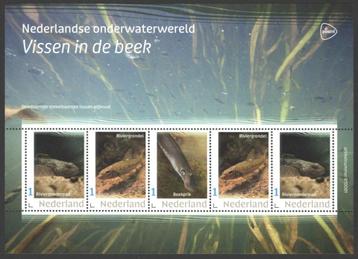 Nederlandse Onderwaterwereld: Vissen in de beek beschikbaar voor biedingen