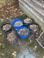 Gratis gebroken puin, Tuin en Terras, Grind, Keien en Split, Ophalen, Gebruikt