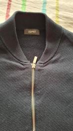 Esprit Heren Vest Donkerblauw Maat L, Maat 52/54 (L), Blauw, Ophalen of Verzenden, Esprit