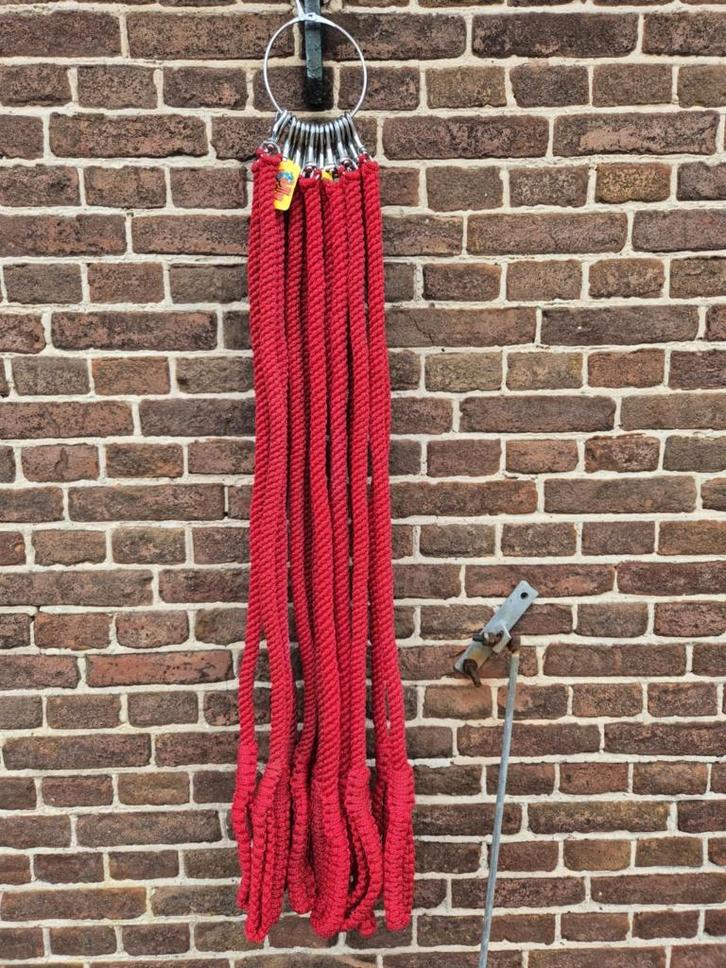 Mooie partij 15x hondenriemen hondenlijnen 100cm*18mm riemen, Dieren en Toebehoren, Hondenriemen, Nieuw, Hondenriem, Ophalen of Verzenden