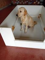 werpkist middelgrote hond, Ophalen, Gebruikt