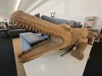 Krokodil - Levensgroot - Handgemaakt, Hagedis, 0 tot 2 jaar