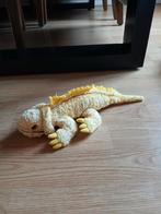 Knuffel hagedis, Hagedis, 0 tot 2 jaar