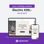 Website laten maken – eenmalig €99, incl. 12 maanden hosting, Diensten en Vakmensen, Webdesign