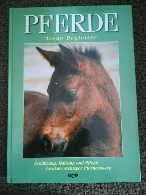 Duits paardenboek, Boeken, Dieren en Huisdieren, Gelezen, Paarden of Pony's, Ophalen of Verzenden