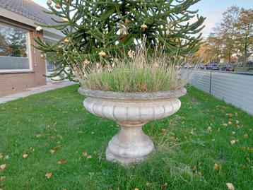 bloembak beschikbaar voor biedingen