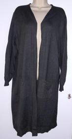 Laura Torelli vest maat XL (48/50), Ophalen of Verzenden, Zo goed als nieuw, Grijs, Trui of Vest