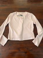 Claudia Strater 36 vest, Kleding | Dames, Truien en Vesten, Ophalen of Verzenden