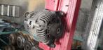 Dynamo 90AH BMW 3 Serie E36 E46 1.6 1.8 M43  1435429, Auto-onderdelen, Ophalen of Verzenden, Gebruikt, BMW