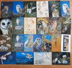 Uil, uilen kunstkaarten, Ophalen of Verzenden