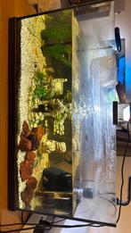 Compleet aquarium, Ophalen, Zo goed als nieuw, Gevuld zoetwateraquarium