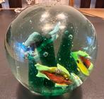 Vintage Murano aquarium paperweight, vissen met zeewier., Ophalen of Verzenden