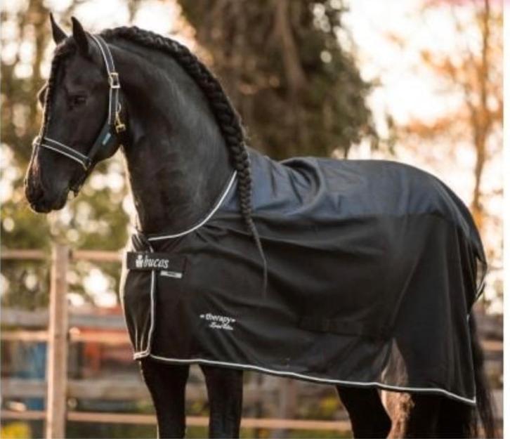 Recuptex Bucasdeken Mesh Cooler Limited Edition 2 stuks, Dieren en Toebehoren, Paarden en Pony's | Dekens en Dekjes, Zo goed als nieuw