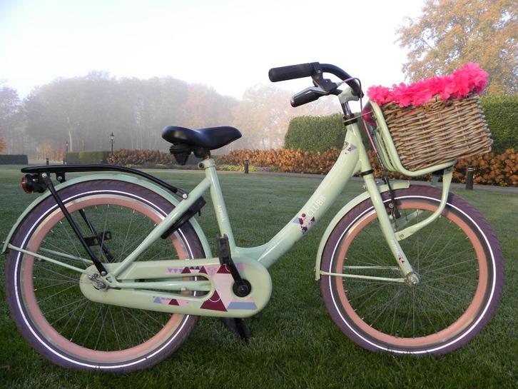 mooie 22'' alpina clubb, Fietsen en Brommers, Fietsen | Meisjes, Gebruikt, 26 inch of meer, Handrem, Ophalen